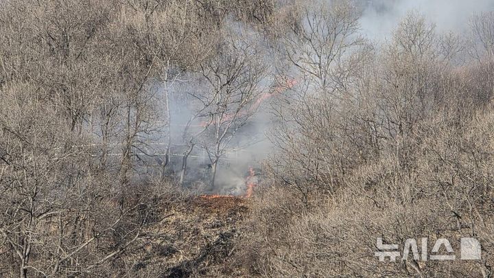 [연천=뉴시스] 산불 현장. (사진=산림청 제공) 2026.01.05 photo@newsis.com