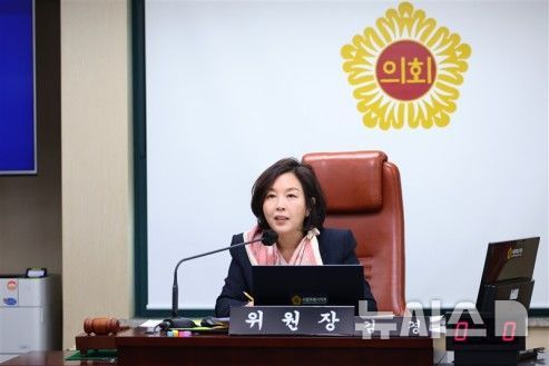 [서울=뉴시스]김경 서울시의회 문화체육관광위원회 위원장. *재판매 및 DB 금지