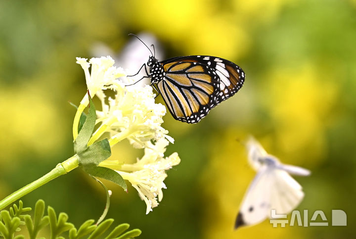 맑은 울산, 아침 -4도 한파…낮 기온 쑥 8도, 대기는 건조