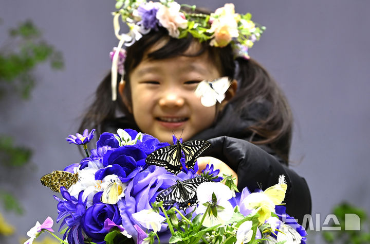 나비의 꿈꾸는 정원 찾아 봄의 전령 나비 만나요 [뉴시스Pic]