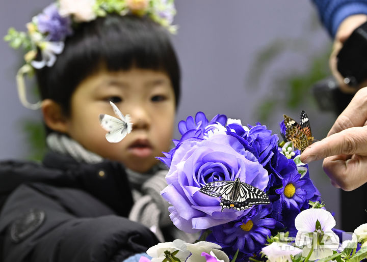 [용인=뉴시스] 김종택 기자 = 절기상 소한인 5일 경기 용인시 에버랜드 나비의 꿈꾸는 정원을 찾은 어린이가 봄의 전령 나비를 살펴보고 있다. 2026.01.05. jtk@newsis.com