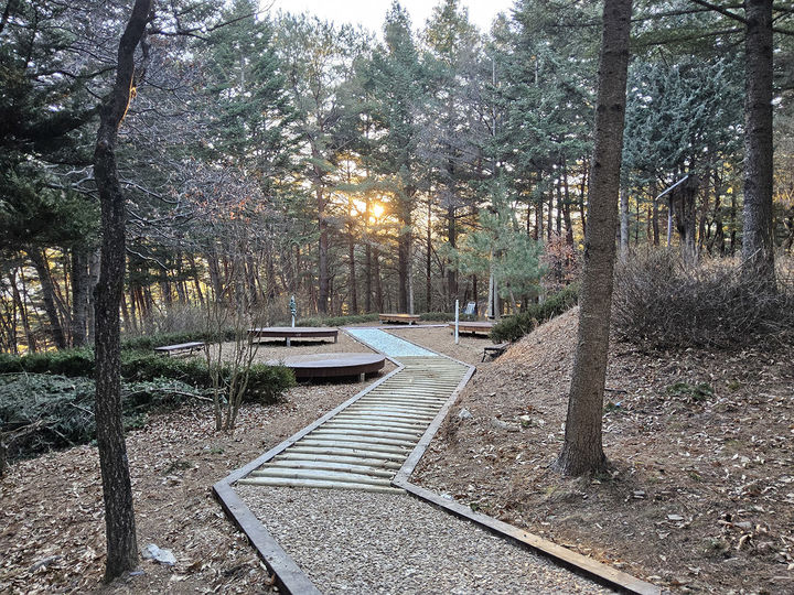 정선 비봉산 산림공원 전경.(사진=정선군 제공) *재판매 및 DB 금지