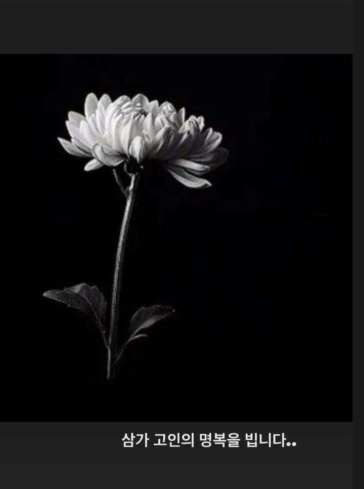 [서울=뉴시스]김호영이 올린 국화꽃 사진(사진=SNS 캡처)2026.01.06. photo@newsis.com *재판매 및 DB 금지