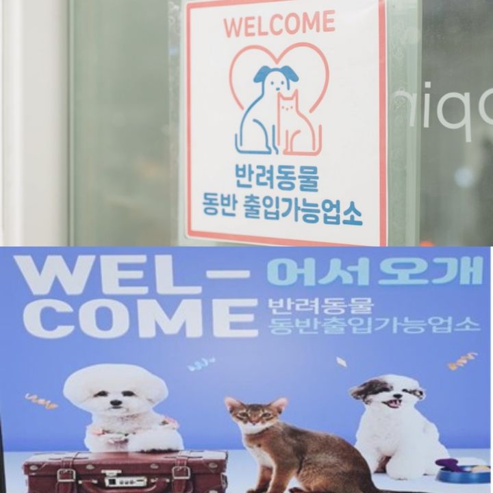 3월부터 반려동물 식당 출입 가능…"목줄 풀면 안 돼요"