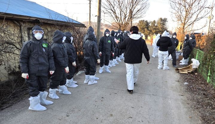 살처분 작업 나선 충주시 방역당국 *재판매 및 DB 금지