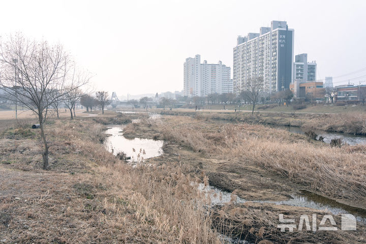 [오산=뉴시스] 오산천 중앙에 퇴적층이 쌓인 모습 (사진=오산시 제공) 2026.01.06.photo@newsis.com 