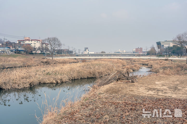 [오산=뉴시스] 오산천 퇴적층이 쌓여 만들어진 하중도 모습 (사진=오산시 제공) 2026.01.07.photo@newsis.com 