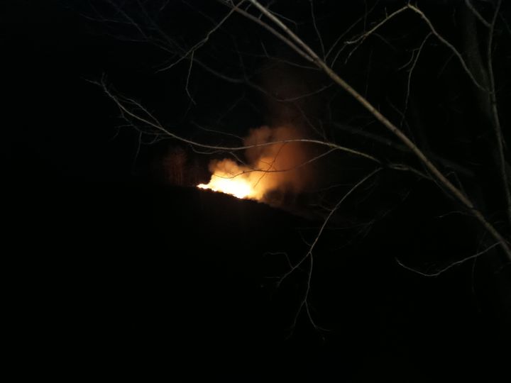 경북 김천 야산 불…50여분 만에 주불 진화