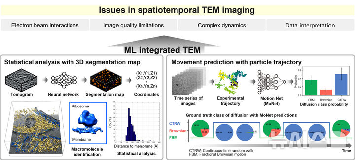 GIST가 제시한 AI 통합 전자현미경 기술을 통한 연성 물질 분석의 시공간적 한계 극복 및 정밀 해석 개념도. (그해픽=GIST 제공) photo@newsis.com