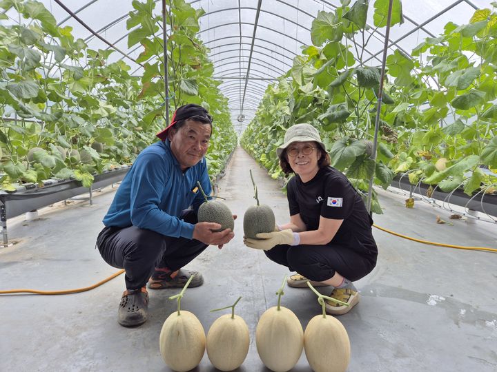 [구미=뉴시스] 장천면 멜론작목반 정연덕(왼쪽) 회장과 부인 김명순씨. (사진=구미시 제공) 2026.01.07 photo@newsis.com *재판매 및 DB 금지