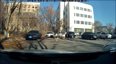 나뭇가지에 차 부서졌는데…"승진 생각하면 구상권 말라?"(영상)