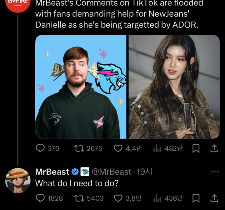 미스터비스트, 뉴진스 팬덤 요청에 "내가 뭘 하면 되나"