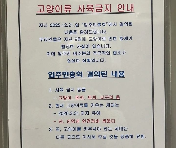 "고양이 키우면 이사해라?"…오피스텔 '반려묘 금지' 논란