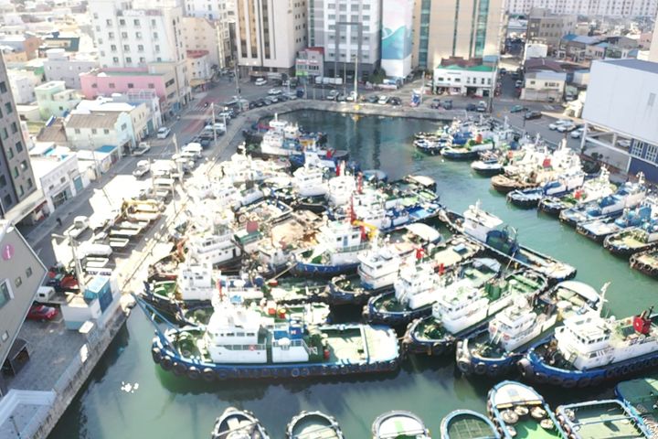 [부산=뉴시스] 부산항 북항 대교동 호안 예부선 계류지 전경. (사진=부산항만공사 제공) 2026.01.07. photo@newsis.com *재판매 및 DB 금지