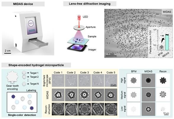 [서울=뉴시스] MIDAS 플랫폼 연구 모식도. (사진=고려대 제공) 2026.01.07. photo@newsis.com *재판매 및 DB 금지
