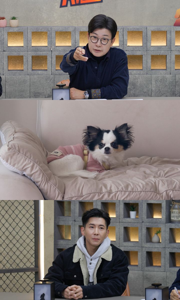 '개늑시2' 오늘 첫방…훈육인가 학대인가