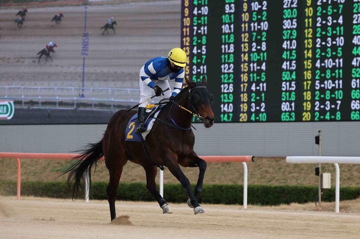 [부산=뉴시스] 900승을 달성한 서승운 기수의 루나 Stakes 경주 장면. (사진=한국마사회 부산경남지역본부 제공) 2026.01.07. photo@newsis.com *재판매 및 DB 금지