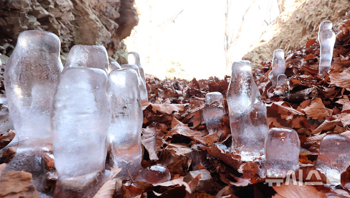 [인천=뉴시스] 전진환 기자 = 7일 오전 인천 부평구 산곡동의 한 토굴 바닥에서 시작해 위로 올라가는 '역고드름'이 자라고 있다. 2026.01.07. amin2@newsis.com