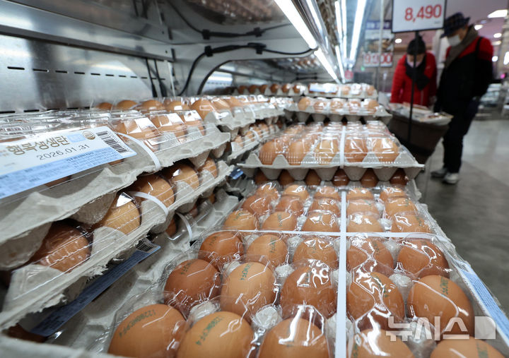 AI에, ASF에, 산불에…설 앞두고 먹거리 물가 '비상' 오나
