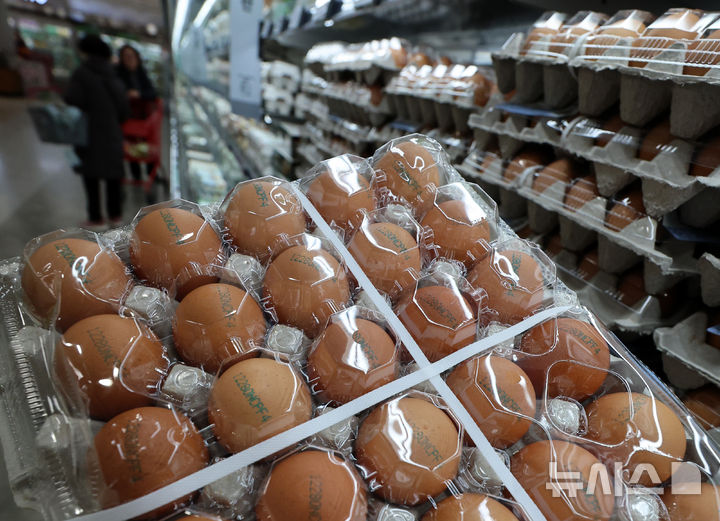 농식품부, 계란 수급 불안 대비 미국산 신선란 224만개 수입