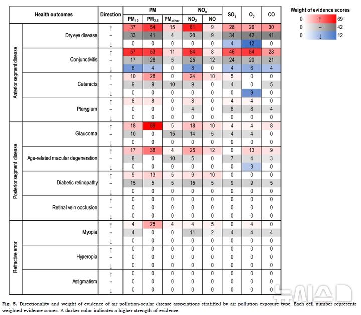 "대기오염, 눈 건강에 악영향"…연관성 증거지도 나왔다