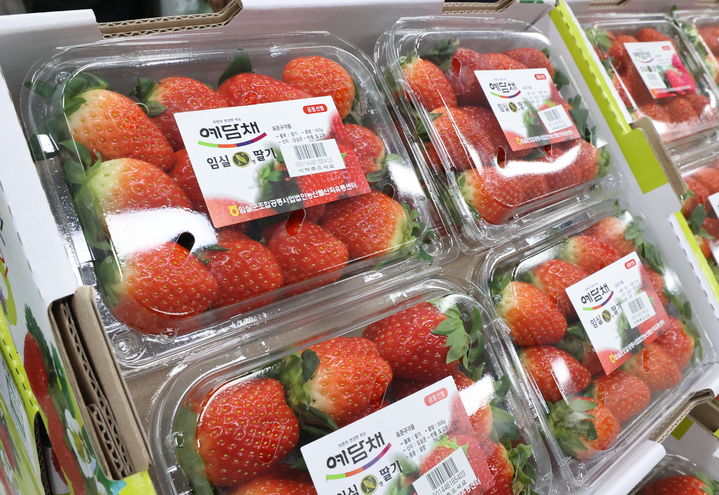 [임실=뉴시스] 대형마트 판매대에 진열된 임실N딸기. *재판매 및 DB 금지