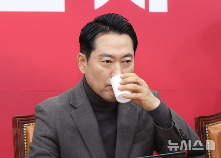 與, 장동혁 '댓글 국적 표시제 도입' 주장에 "당내 의혹부터 해명해야"