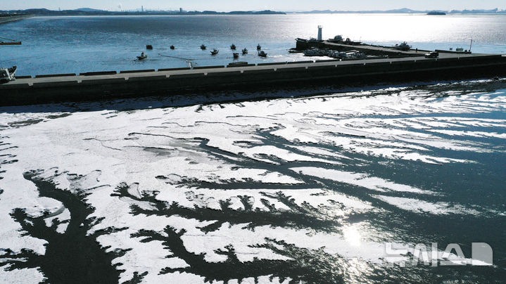 [화성=뉴시스] 김종택 기자 = 강추위가 찾아온 8일 경기 화성시 서신면 매향리 포구 갯벌이 꽁꽁 얼어있다. 2026.01.08. jtk@newsis.com