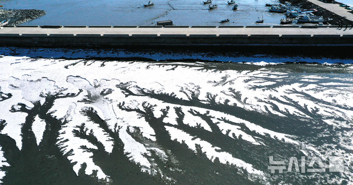 [화성=뉴시스] 김종택 기자 = 강추위가 찾아온 8일 경기 화성시 우정읍 매향리 포구 갯벌이 꽁꽁 얼어있다. 2026.01.08. jtk@newsis.com