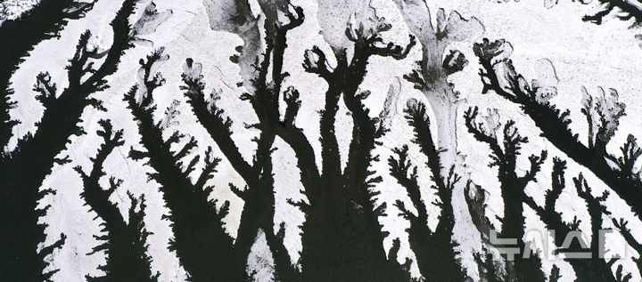 강추위가 그린 겨울 풍경 [오늘의 한 컷]