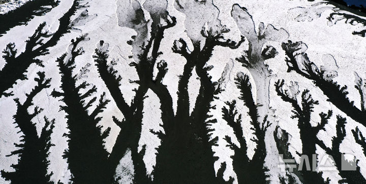 동장군이 갯벌에 그린 수묵화 [뉴시스Pic]