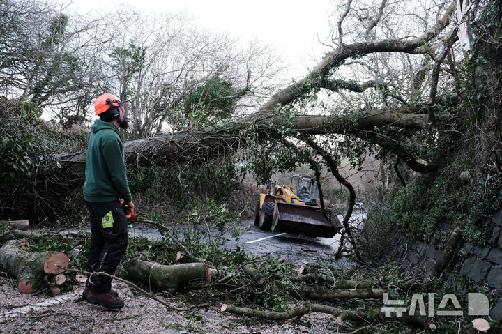 [콘월=AP/뉴시스] 영국 콘월주 세인트스티븐에서 폭풍 고레티가 영국을 강타하는 가운데 길을 막고 있던 쓰러진 나무가 치워지고 있다. 이번 폭풍으로 전국 수만 명의 영국인들이 대규모 정전, 교통 혼란, 학교 휴교를 겪고 있다. 2026.01.09.