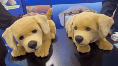 [라스베이거스=뉴시스]이현주 기자 = 미국 기업 톰봇은 6~9일(현지시간) 라스베이거스에서 열린 CES 2026에서 반려로봇 '제니'를 선보였다. lovelypsyche@newsis.com