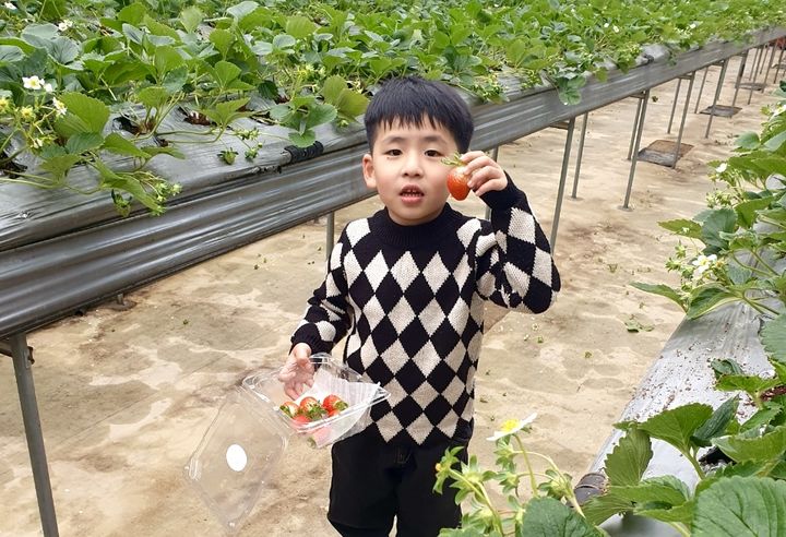 (사진 = 켄싱턴호텔앤리조트 제공) *재판매 및 DB 금지