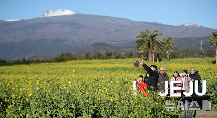 [서귀포=뉴시스] 우장호 기자 = 맑은 날씨를 보인 9일 오전 제주 서귀포시 남원읍 휴애리자연생활공원을 찾은 관광객들이 활짝 피어난 유채꽃을 감상하며 한겨울 속 봄 정취를 만끽하고 있다.&nbsp; 기상청에 따르면 주말인 10일부터 서서히 찬 대륙고기압의 영향을 받아 전국에 큰 추위가 찾아오고, 11일에는 남부와 제주를 중심으로 많은 눈이 내릴 것으로 예측됐다. 2026.01.09. woo1223@newsis.com