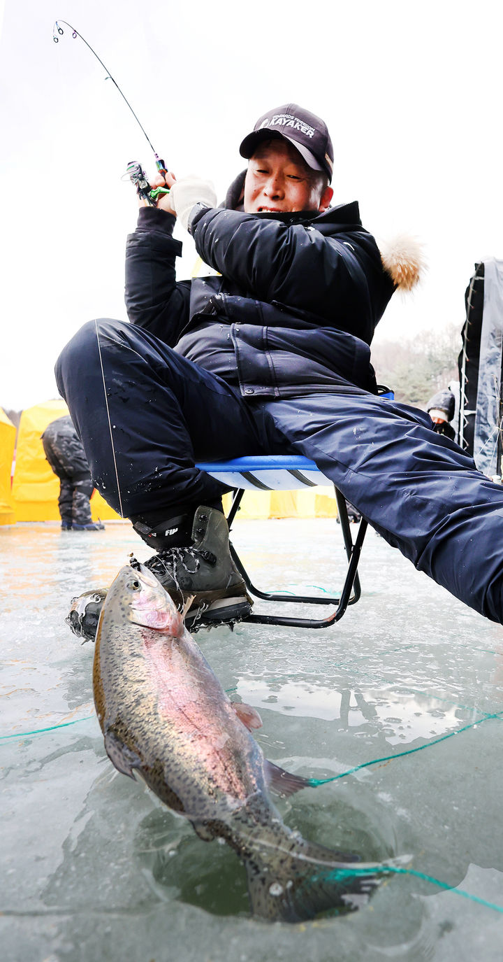 평창송어축제 개막…겨울 종합 놀이터 변신 [뉴시스Pic]