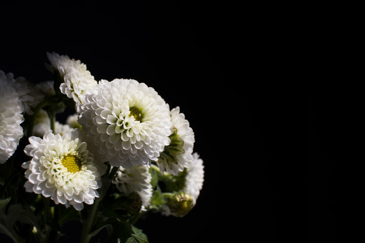 [뉴시스] 기사의 이해를 돕기 위한 사진. (사진=유토이미지) *재판매 및 DB금지 *재판매 및 DB 금지
