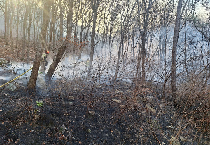 강풍·건조특보 내려진 여수서 산불…주불 진화