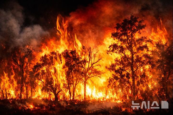 예산서 산불, 대응 1단계 발령…헬기 7대 투입해 진화 중