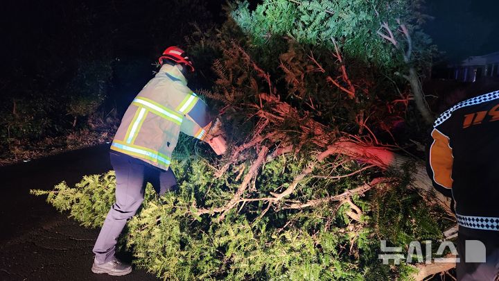 배수관 이탈, 쓰러진 펜스…강풍에 날벼락 제주 피해속출