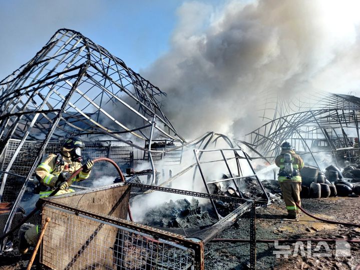고양 비닐하우스 화재, 사상없어…'검은연기' 신고 145건