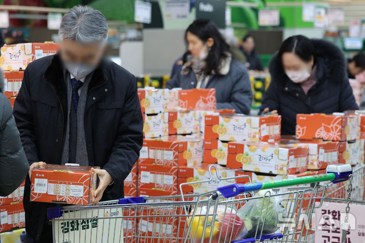과실류 물가, 5년간 年8.3% 올라…"일시적 재정 할인정책은 한계"