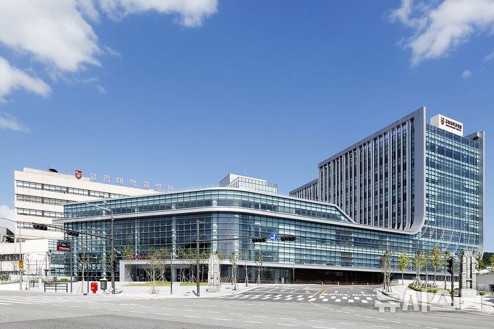 [서울=뉴시스] 고려대학교 안암병원 전경. (사진= 고대 안암병원 제공)