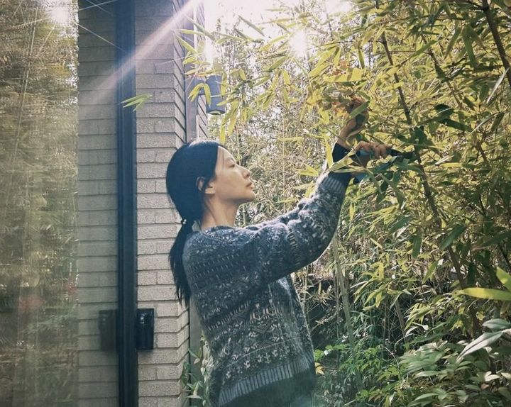 [서울=뉴시스] 배우 이영애. (사진=이영애 인스타그램 캡처) 2026.01.12. photo@newsis.com *재판매 및 DB 금지