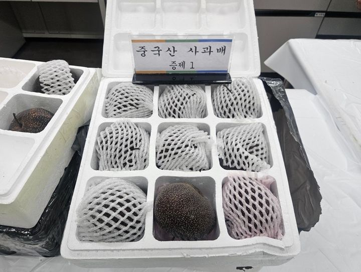 수입금지 中 농산물, 반려동물 용품 위장…158억 상당 불법 수입 적발