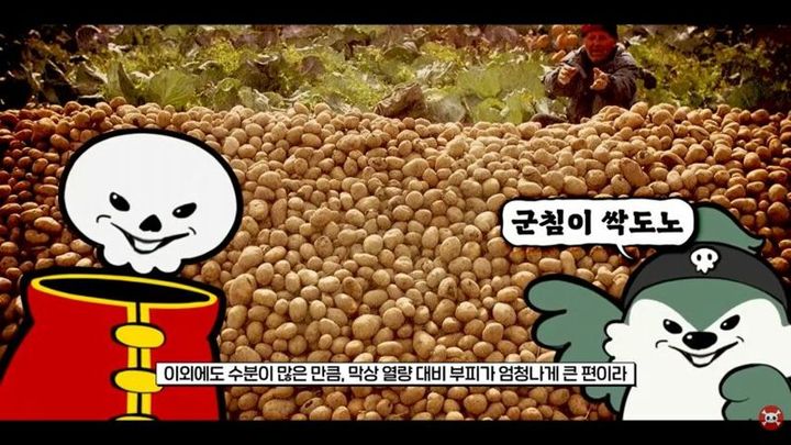 138만 유튜브 자막에 "군침이 싹 도노"…일베 연상 논란