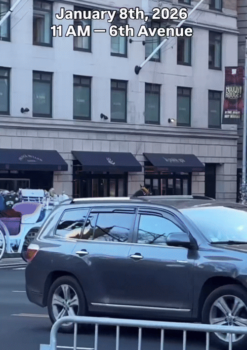 "겁먹은 말이 도심 질주"…뉴욕 관광마차 또 사고(영상)