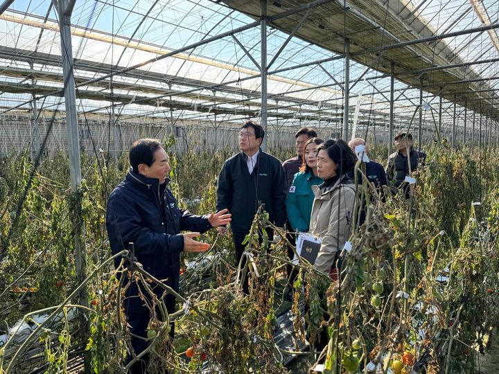 [창원=뉴시스]경남농협, 강풍 피해농가 현장 지원. (사진=경남농협 제공) 2026.01.12.photo@newsis.com *재판매 및 DB 금지