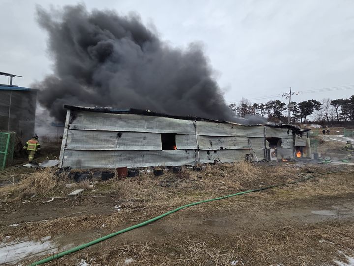 [논산=뉴시스] 12일 오후 12시10분께 충남 논산시 연무읍 안심리의 한 버섯재배농장에서 불이 나 검은색 연기가 하늘로 치솟고 있다. (사진=논산소방서 제공) 2026.01.12. photo@newsis.com *재판매 및 DB 금지
