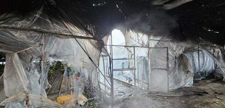 경북 상주 딸기 비닐하우스 불, 40분 만에 진화
